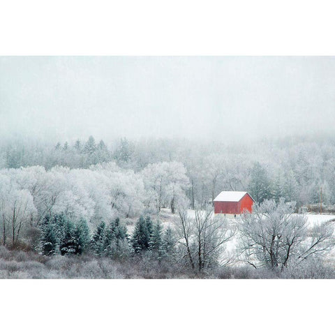 Red Barn Black Modern Wood Framed Art Print with Double Matting by Ryan, Brooke T.