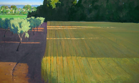 Last Light on Caromb Black Ornate Wood Framed Art Print with Double Matting by Roberts, Ian