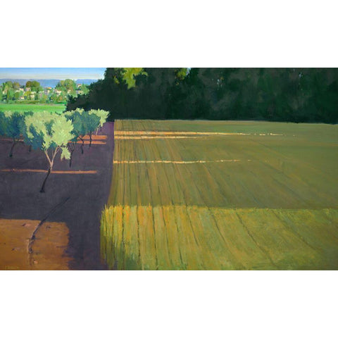 Last Light on Caromb White Modern Wood Framed Art Print by Roberts, Ian