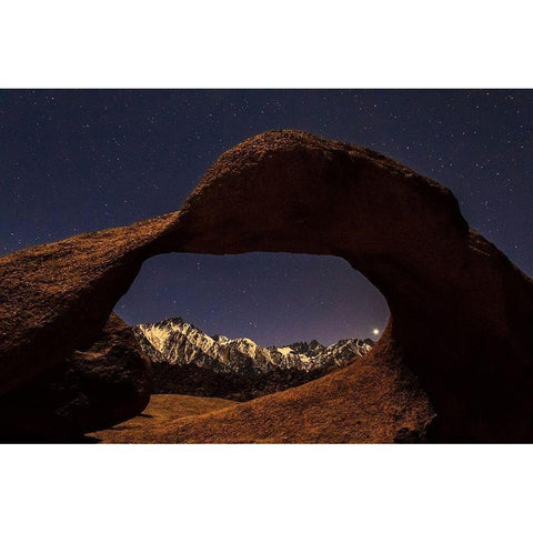 Venus Through Mobius Arch Black Modern Wood Framed Art Print by Severn, Shawn/Corinne