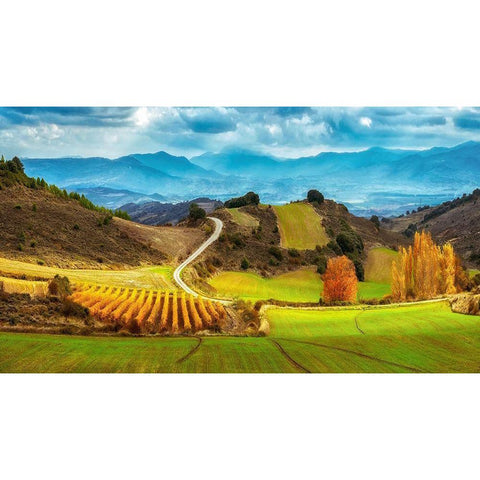 Navarra Black Modern Wood Framed Art Print by Van de Goor, Lars