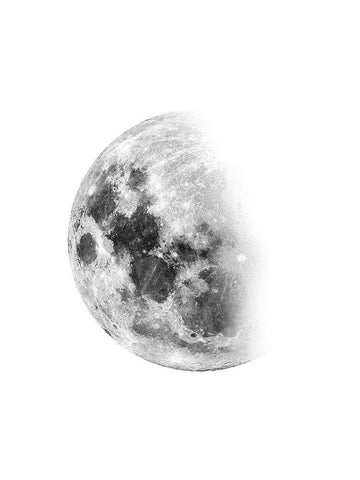 Moon Waning No. 1 Black Ornate Wood Framed Art Print with Double Matting by Wong, Brandon