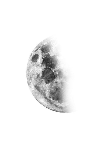 Moon Waning No. 2 Black Ornate Wood Framed Art Print with Double Matting by Wong, Brandon