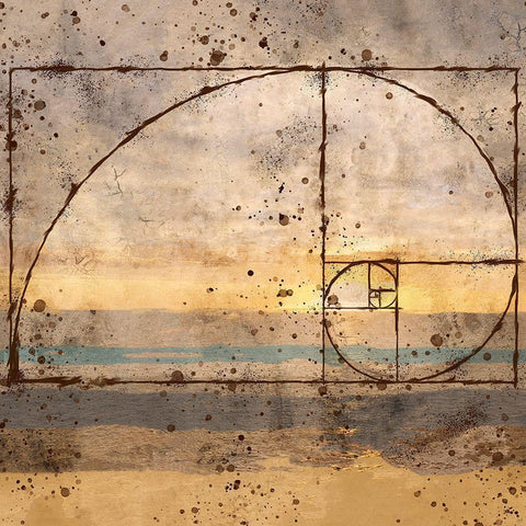 Fibonacci Shell Gold Ornate Wood Framed Art Print with Double Matting by Wiley, Marta
