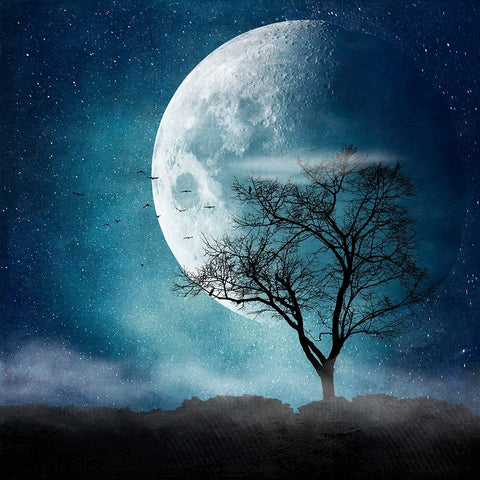 Moon Blues Black Modern Wood Framed Art Print by Wustenhagen, Dirk