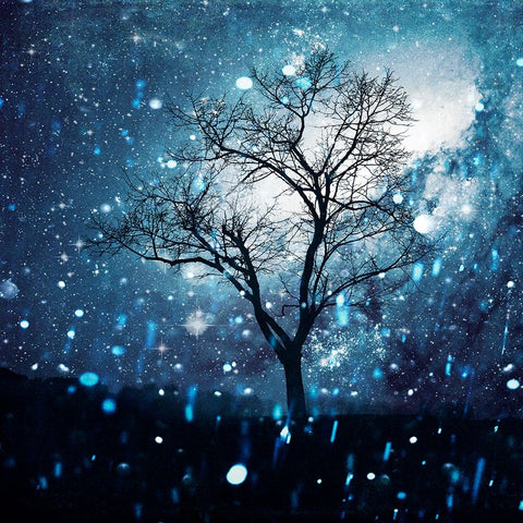 The Miracle Tree Black Modern Wood Framed Art Print by Wustenhagen, Dirk