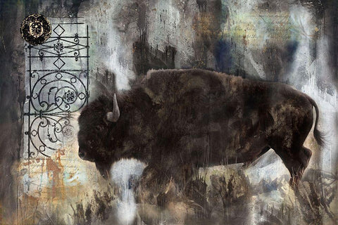 Buffalo White Modern Wood Framed Art Print with Double Matting by Wiley, Marta