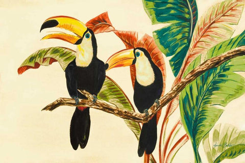 Tropical Toucans I White Modern Wood Framed Art Print with Double Matting by Baliko, Linda