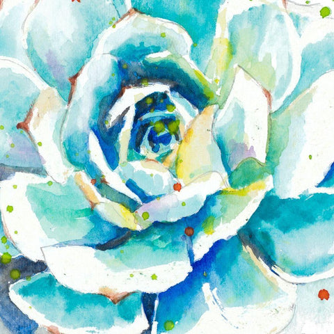 Turquoise Succulent Close Up Black Modern Wood Framed Art Print by Pinto, Patricia