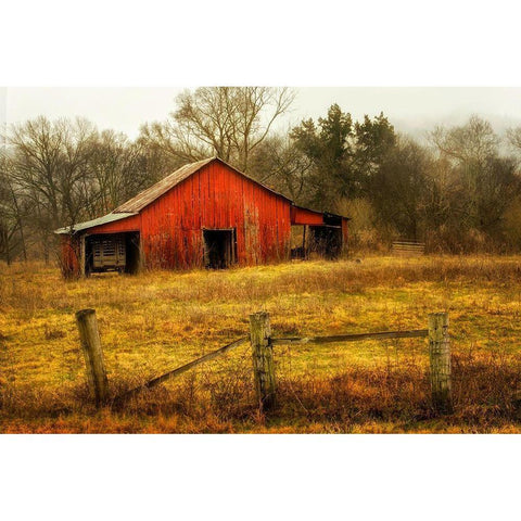 In the Country Gold Ornate Wood Framed Art Print with Double Matting by Amos, Andy