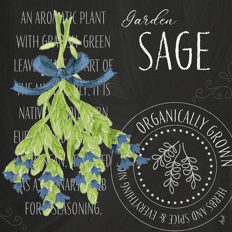 Garden Grown Herbs II White Modern Wood Framed Art Print by Metz, Andi