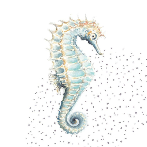 Turquoise Seahorse White Modern Wood Framed Art Print with Double Matting by Pinto, Patricia