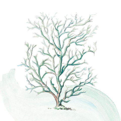 Turquoise Ocean Sea Coral Black Ornate Wood Framed Art Print with Double Matting by Pinto, Patricia