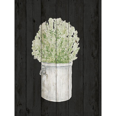 Herbs on Black Wood II Black Modern Wood Framed Art Print with Double Matting by Gaynor, Janice