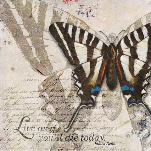 Living your Dreams II White Modern Wood Framed Art Print by Pinto, Patricia