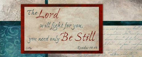 Be Still White Modern Wood Framed Art Print with Double Matting by Medley, Elizabeth