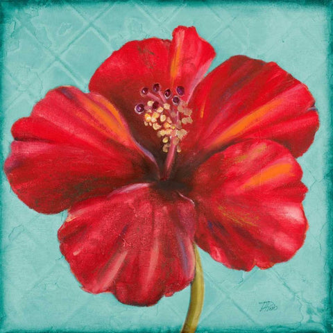 Joyful Hibiscus White Modern Wood Framed Art Print by Pinto, Patricia