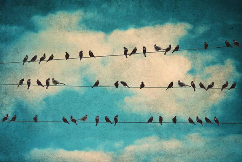 Together Again Black Ornate Wood Framed Art Print with Double Matting by Peck, Gail