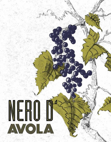 Nere d Avola White Modern Wood Framed Art Print with Double Matting by Baliko, Linda