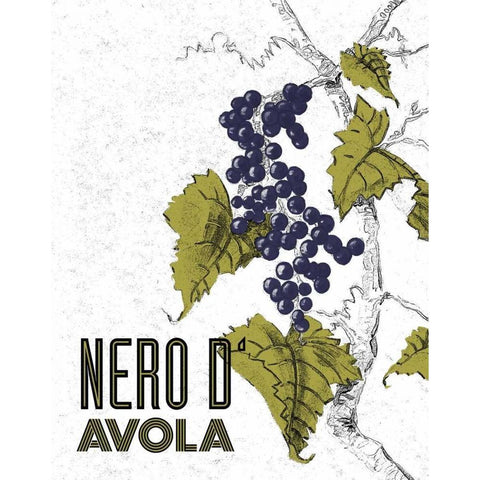 Nere d Avola Black Modern Wood Framed Art Print by Baliko, Linda
