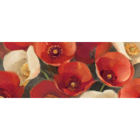 Poppies Bloom I Black Modern Wood Framed Art Print by Hristova, Albena