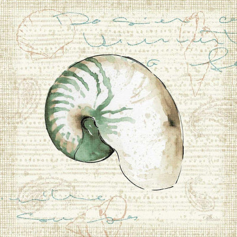 Ocean Prints III Gold Ornate Wood Framed Art Print with Double Matting by Pela Studio