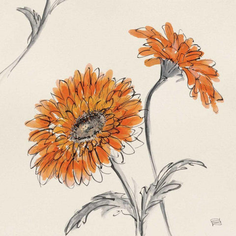 Orange Gerbera II Gold Ornate Wood Framed Art Print with Double Matting by Paschke, Chris