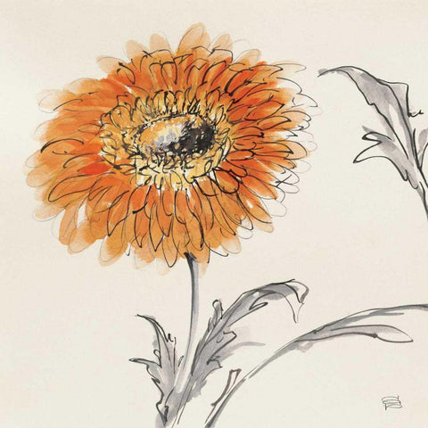 Orange Gerbera III Gold Ornate Wood Framed Art Print with Double Matting by Paschke, Chris