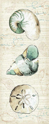 Ocean Prints VI Black Ornate Wood Framed Art Print with Double Matting by Pela Studio