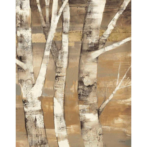Wandering Through the Birches II White Modern Wood Framed Art Print by Hristova, Albena
