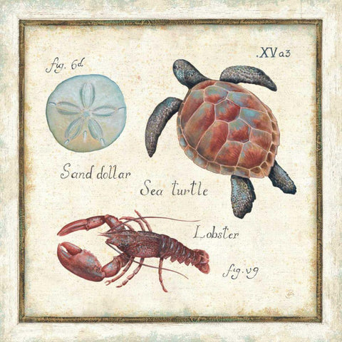 Oceanography II Black Ornate Wood Framed Art Print with Double Matting by Brissonnet, Daphne