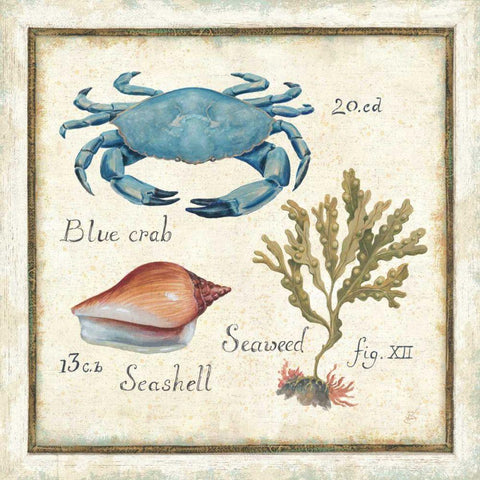Oceanography IV Gold Ornate Wood Framed Art Print with Double Matting by Brissonnet, Daphne