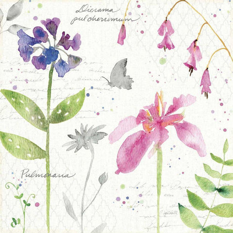 Soft Nature IV Gold Ornate Wood Framed Art Print with Double Matting by Tavoletti, Anne