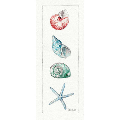 Sea Finds IV Black Modern Wood Framed Art Print by Audit, Lisa