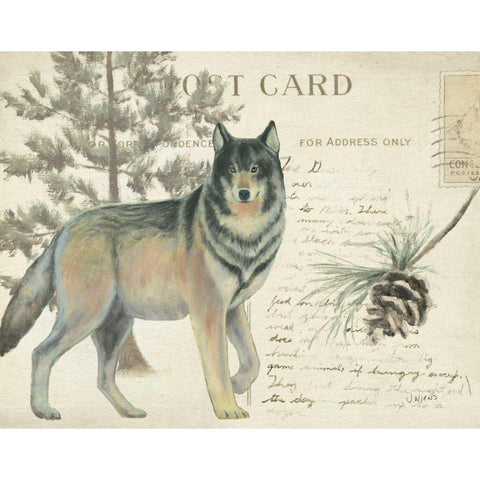 Northern Wild I White Modern Wood Framed Art Print by Wiens, James