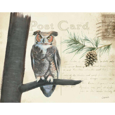 Northern Wild V White Modern Wood Framed Art Print by Wiens, James