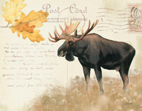 Northern Wild III Black Ornate Wood Framed Art Print with Double Matting by Wiens, James