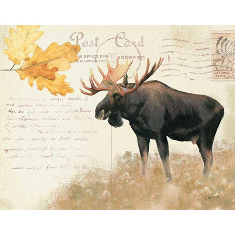 Northern Wild III White Modern Wood Framed Art Print by Wiens, James
