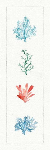 Water Coral VIII White Modern Wood Framed Art Print with Double Matting by Audit, Lisa