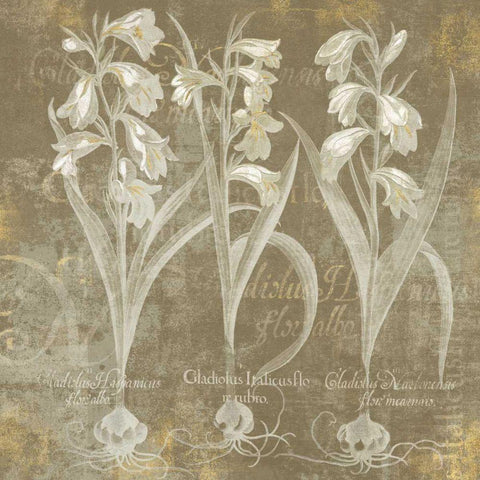 Flower Lines I White Modern Wood Framed Art Print by Schlabach, Sue