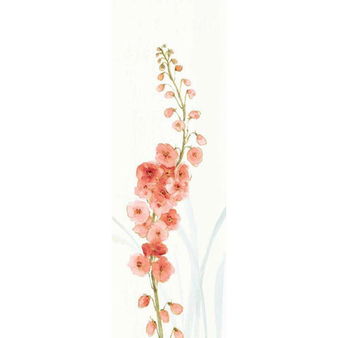 Rainbow Seeds Flowers VII Coral Gold Ornate Wood Framed Art Print with Double Matting by Audit, Lisa