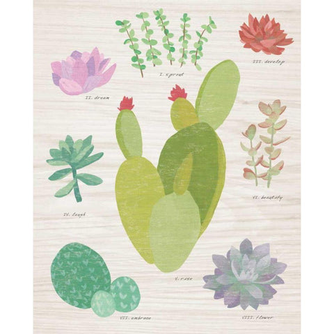 Succulent Chart III on Wood Gold Ornate Wood Framed Art Print with Double Matting by Wild Apple Portfolio