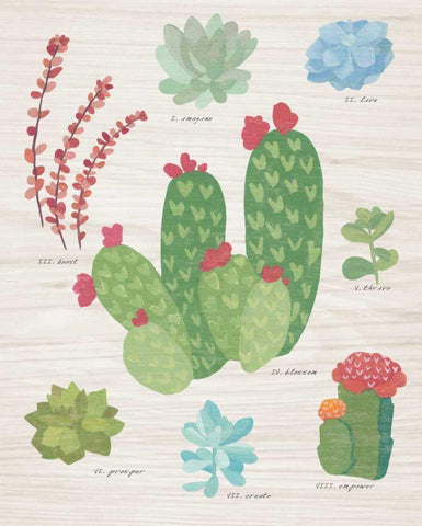 Succulent Chart IV on Wood Black Ornate Wood Framed Art Print with Double Matting by Wild Apple Portfolio