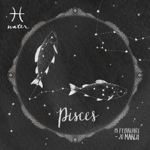 Night Sky Pisces Black Modern Wood Framed Art Print by Miller, Sara Zieve