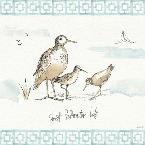 Sandpiper Sea I White Modern Wood Framed Art Print with Double Matting by Tavoletti, Anne