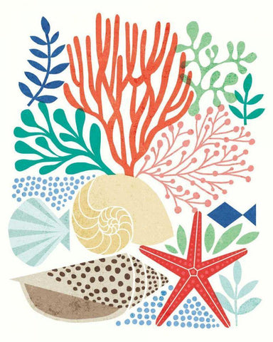 Under Sea Treasures VI White Modern Wood Framed Art Print with Double Matting by Mullan, Michael