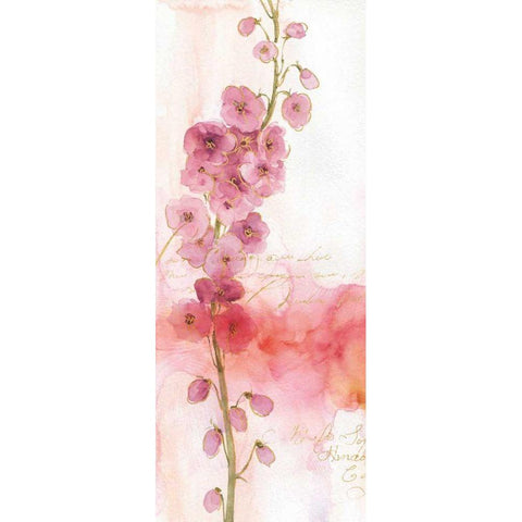 Rainbow Seeds Absract Floral I White Modern Wood Framed Art Print by Audit, Lisa