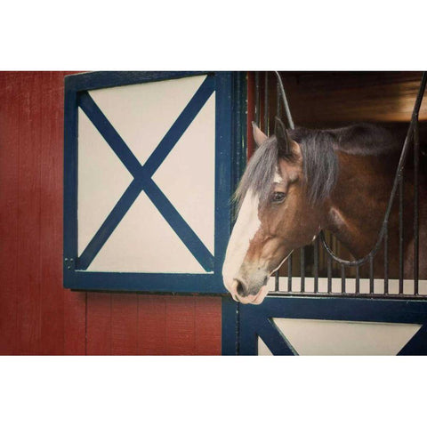 Patriotic Pony I Gold Ornate Wood Framed Art Print with Double Matting by Urquhart, Elizabeth