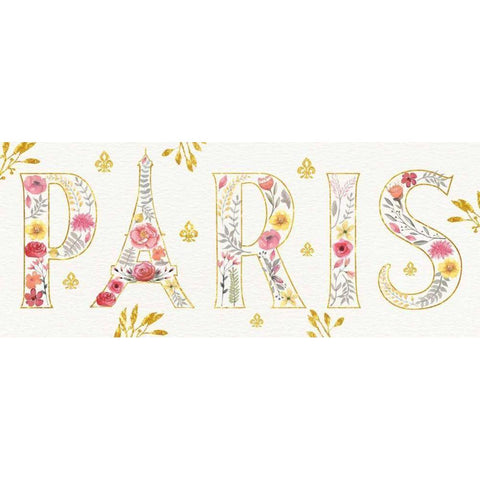 Paris Blooms V Black Modern Wood Framed Art Print by Aiken, Jess
