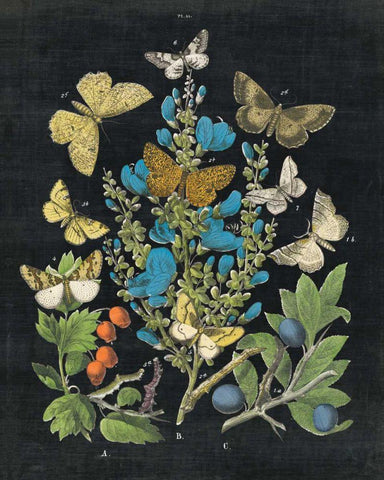 Butterfly Bouquet on Black II Black Ornate Wood Framed Art Print with Double Matting by Wild Apple Portfolio